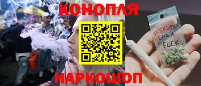 гидропоника Будённовск