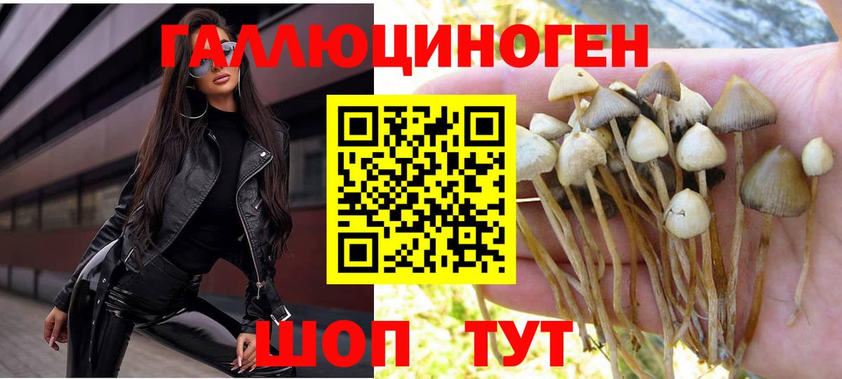 Галлюциногенные грибы прущие грибы Уфа